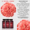 Materiais de Embalagem para Buquês Jemi, Suprimentos para Floristas, Embalagem Floral, Spray Corante à Base de Água, Tinta Spray, Spray para Flores