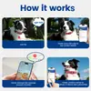 Collar Reflectante para Perro con Correa y Etiqueta de Identificación Inteligente QR, Juego de Collar de Seguridad de Nylon Ajustable para Paseo y Entrenamiento de Perros