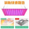 Venta caliente transfronteriza 100W lámpara para plantas led80 W luz de relleno para suculentas 2000W lámpara de invernadero invernadero 50W alta potencia 400W