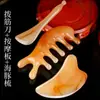 Raspador de Massagem em Resina Não-Chifre para Terapia Facial, Placa de Massagem Gua Sha para Meridianos do Pescoço e Olhos para Cuidados com a Saúde