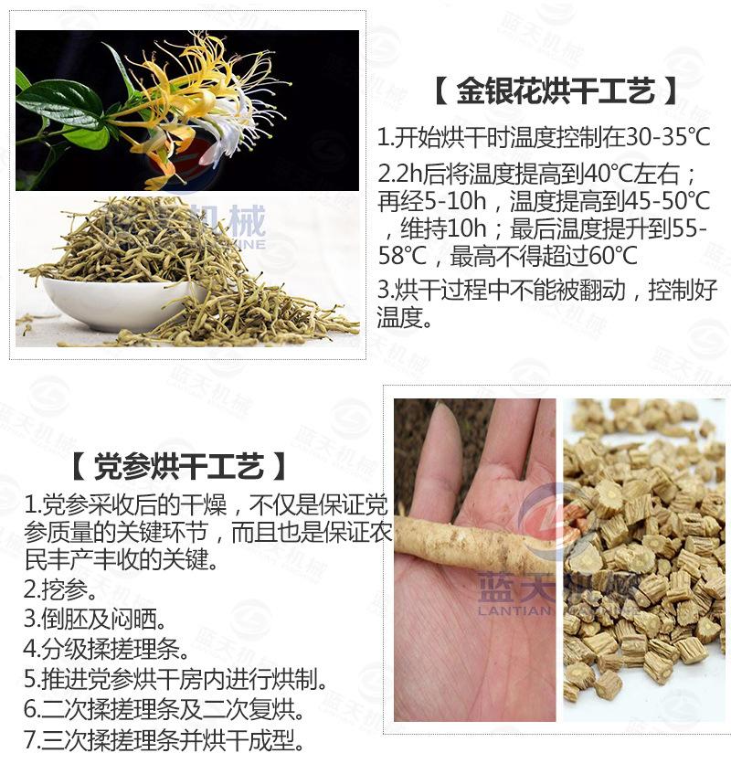 板蓝根烘干机_20.jpg