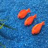 Adornos de Resina para Micro Paisajismo Peces Pequeños Suculentas Resina Adornos Pequeños Acuario Adornos de Animales Pequeños Decoraciones Creativas