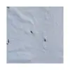 Tela de Bordado Plano con Patrón Pequeño sobre Fondo Azul Simple, Tela Bordada de Poliéster-Algodón, Vestidos y Chaquetas de Mujer Hechos a Medida