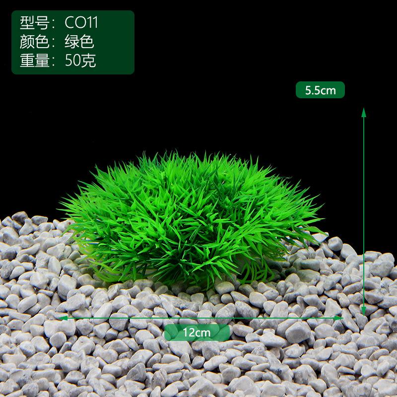 CO11绿色.JPG