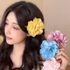 Pinza para el Cabello Floral Fresca y Dulce para Niñas y Mujeres, Pinza Lateral de Moda y Elegante para Flequillo, Pasador de Gama Alta