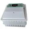 Incubadora Mini Totalmente Automática para Uso Doméstico, Incubadora Inteligente Pequena para Frango, Incubadora de Ovos com Rolo
