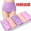 Roupa íntima de algodão puro de cintura alta para meia-idade e idosos, Calças largas femininas, Shorts de tamanho grande para mães, Cuecas para idosos