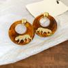 Pendientes de Resina Tigre Chisporroteante Maillard Plateados Pendientes Geométricos de Lujo Ligero Europeos y Americanos Temperamento Personalizado Pendientes de Alta Gama