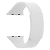Adequado para Pulseira Magnética de Silicone para Apple Watch Iwatchs10 Padrão Lichia Applewatch Laço de Duas Seções
