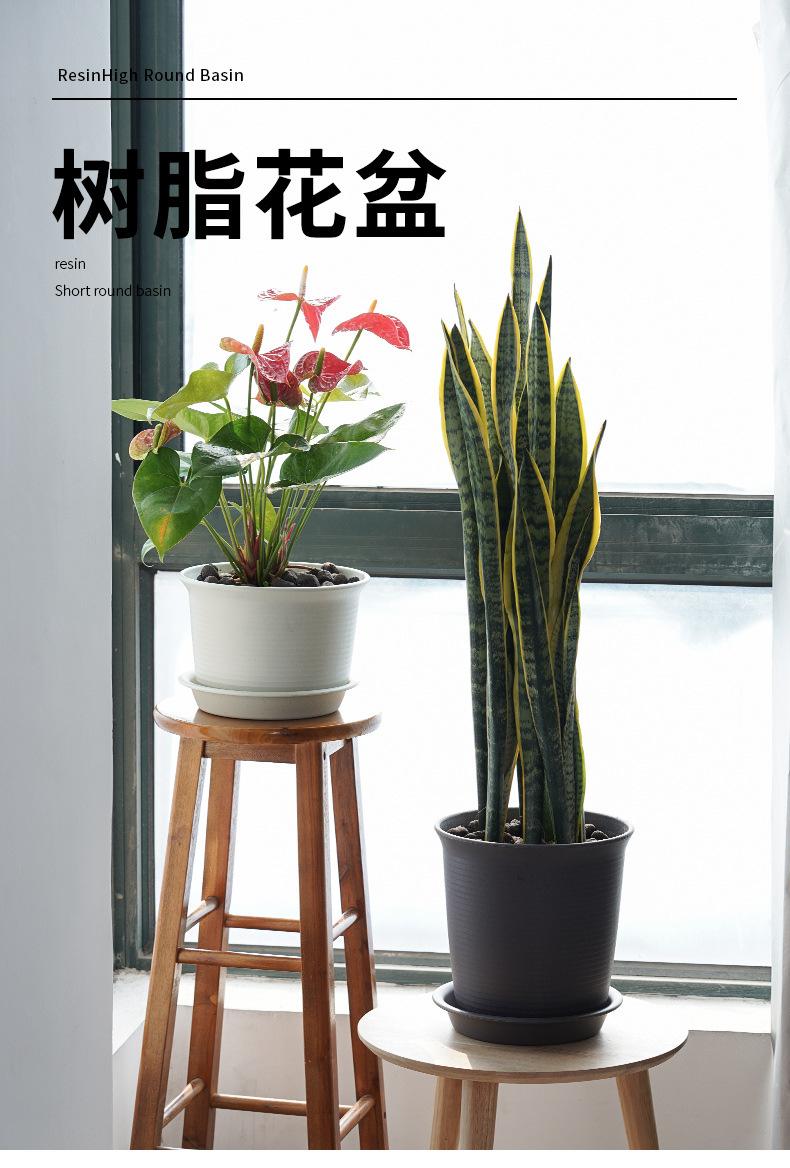 爱丽丝花盆_01.jpg