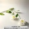 Jin Xi Flor Branca Simulada Diamante Rosa Rosa Hortênsia Decoração de Auditório de Casamento Material Floral Decoração de Sala de Estar em Casa Flor Artificial