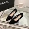 Sapatos femininos de bico fino com salto grosso estilo francês, novo estilo fada outono 2026, adequados para combinar com saias, com tira de strass, sapatos Mary Jane