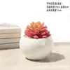 Plantas Verdes Simples Suculentas de Plástico em Vaso Ornamento para Sala de Estar Mesa de Jantar Flores Artificiais Decorações Ornamento Flores Biomórficas