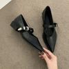 Sapatos de Camada Única para Vestido Feminino Novo Outono Elegante Bico Fino para Ir ao Trabalho Sapatos Femininos Versátil Sapatos Mary Jane Franceses Couro Macio