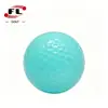 Venda Direta do Fabricante Foli Sports de Bolas de Golfe Coloridas, Bolas de Golfe Coloridas de Camada Dupla para Prática Disponíveis em Dezesseis Cores