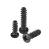 Ferro Preto Pb M1.4-M4 Parafusos Autoatarraxantes de Cabeça Panela Fenda Cruzada Cauda Plana Parafusos Pequenos Gb845 Cauda Plana