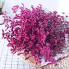 Grama de Cristal Flores Eternas Fabricante de Yunnan Atacado Copo de Vidro Materiais de Flores DIY Flores Flutuantes Materiais de Aromaterapia Transmissão ao Vivo Sala de Casamento