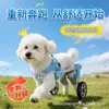 Nueva Silla de Ruedas para Perros, Silla de Ruedas Trasera para Gatos, Carrito Auxiliar para Mascotas Ligero y Retráctil Mejorado, Soporte Trasero para Patas