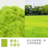 Polvo de Hierba de Nylon Modelo Miniatura Césped Mesa de Arena Escena Plantas Pequeñas de Hierba Materiales Hechos a Mano Musgo Pequeño de Hierba