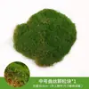 Simulación musgo césped biónico artificial falso musgo micro paisaje diseño adornos césped bonsái en maceta pavimentación paisajismo