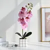 Orquídea Phalaenopsis Artificial com 6 Flores e 4 Frutos em um Vaso Grande, Ornamento Decorativo Luxuoso de Alta Qualidade para Sala de Estar e Rack de TV