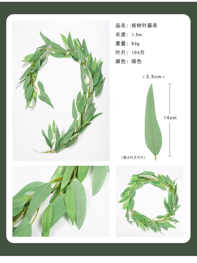 尤加利藤条集合-兰桂坊_10