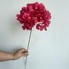 Guía de camino para el techo del salón ceremonial de bodas con hortensias de 72 piezas, arte floral, decoración suave, decoración en stock Hortensias
