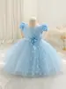Novo Vestido de Princesa Infantil Vestido com Aplique de Borboleta Saia Tutu de Tule Vestido para Festa de Aniversário Vestido de Fantasia para Apresentação