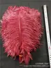 Plumas de Avestruz Blancas 35-40cm Plumas de Colores Materiales para Manualidades DIY Decoración de Bodas