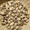 Campanillas de Viento de Cáscara de Fruta Natural, Materiales de Campana de Cáscara de Fruta, Sonajeros de Cáscara de Fruta Natural para DIY, Venta al por Mayor