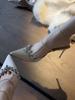 Celebridade da Internet Dopamina Salto Alto Elegante 2024 Novas Explosões Salto Fino Roupa Externa com Saia Casual Sapatos Únicos Versáteis
