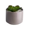 Fábrica de Chaozhou Marca Personalizada Flor Falsa Mini Planta Pequeña Maceta Redonda Recta Estilo Nórdico Decoración de Sala de Estar