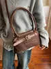 Bolsa de Mão Estilo Coreano Retrô Estilo Preguiçoso Feminina 2025 Nova Moda Outono e Inverno Bolsa de Ombro Versátil para o Dia a Dia Bolsa de Braço