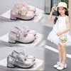Zapatos Mary Jane de Princesa para Niñas, Zapatos de Cuero para Niños, Nuevo Modelo 2026, Zapatos Individuales para Niñas, Zapatos de Tacón Alto de Suela Blanda para Actuación de Bebés, Modernos