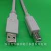 Cable de datos de impresión USB AM a BM, cable de extensión, cable de impresora, cable de computadora, productos digitales