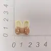 Oso Color Café de Resina, Conejo, Caja de Almacenamiento con Lazo, Funda para Teléfono, Accesorios para el Cabello, Zuecos, Refrigerador, Pegatinas para Tazas, Accesorios al por Mayor