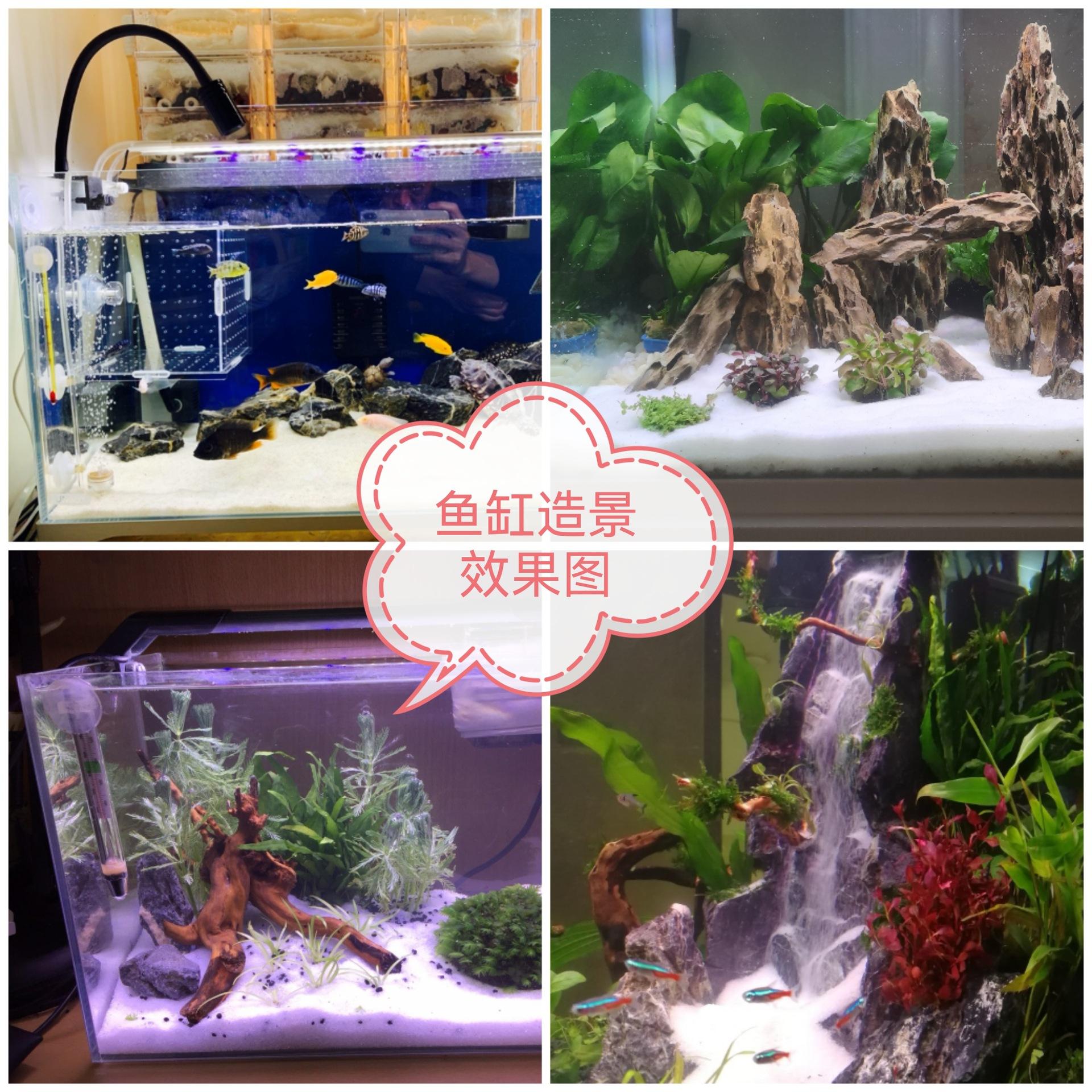 Collage_20221223_140944_edit_2