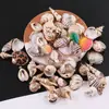 Pendente de Concha Natural com Borda Dourada de Vieiras e Conchas para Brincos Colares DIY Artesanais Joias Pequenos Acessórios