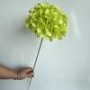 Guía de camino para el techo del salón ceremonial de bodas con hortensias de 72 piezas, arte floral, decoración suave, decoración en stock Hortensias