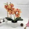 Bonsái Phalaenopsis de Doble Lóbulo Flor 9 Rosquilla Decoración Fotografía de Boda Maceta Arreglo de Patio Exterior Maceta de Flores Artificiales