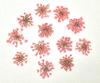 Fábrica de flores secas al por mayor flor de encaje flor de cuentas de nieve flor de estrella arte de uñas pegamento de flor seca flor de arte para carcasa de teléfono móvil