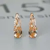 Desejo AliExpress Amazon novos Brincos de zircônia azul água oval com banho de ouro champanhe brincos de casamento noivado para mulheres