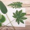 Simulación de hoja de lomo de tortuga, planta verde, cola suelta, hojas de girasol, arreglo floral, decoración, planta verde, accesorios de fotografía, hojas a juego