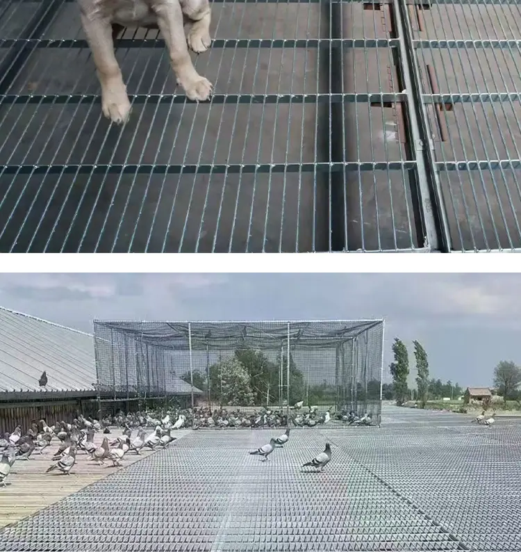 地网详情_17.jpg
