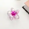 Transfronterizo Nuevo Más Vendido Flor de Huevo Degradada Pinza de Agarre Estilo Vacacional para Mujer Pinza de Tiburón Bauhinia Avanzada con Brillo de Perla