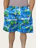 Pantalones de Playa para Hombre de Marca Casual Deportivos de Cinco Puntos para Casa Rafting Surf Playa Secado Rápido Pantalones Medianos Shorts de Puesto Callejero para Hombre