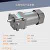 Motor de Redução de Velocidade Regulável AC Monofásico Hongnan Electric 6W~400W 220V Motor de Redução