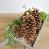 Piña de Pino Americana de 15cm Piña Piña Navideña Arreglo de Ventana Adornos para Sesión de Fotos Decoración del Hogar Material para Flores Secas DIY