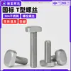Tornillos Tipo T de Acero Inoxidable 304 Tipo Gb37 Estándar Nacional Tipo 30 Tipo 40 Tornillos de Placa de Presión para Ranura en T Tornillos Antiaflojamiento M6M8