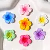 Acessórios de Resina Plumeria Cor Sólida Gradiente Frescos DIY Grampos de Cabelo Cola de Creme Capas de Celular Charms para Sapatos